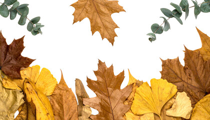 An autumn-themed border composed of various dried leaves in shades of brown and yellow, with green eucalyptus sprigs, on a white background.