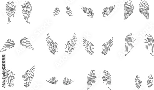 Black and white wings illustration, feathered wing drawing, angel clipart, fantasy artwork, decorative design sketch, symbolic wings artwork, detailed feather illustration
