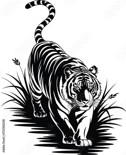 A striking black and white illustration of a prowling tiger in grass