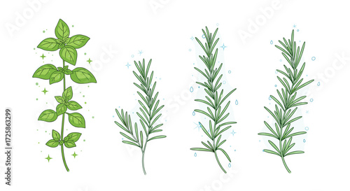 A collection of fresh green herbs including basil and rosemary sprigs.
