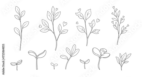 Botanical illustration featuring delicate hand-drawn sprigs and seedlings in a minimalist dotted outline style.