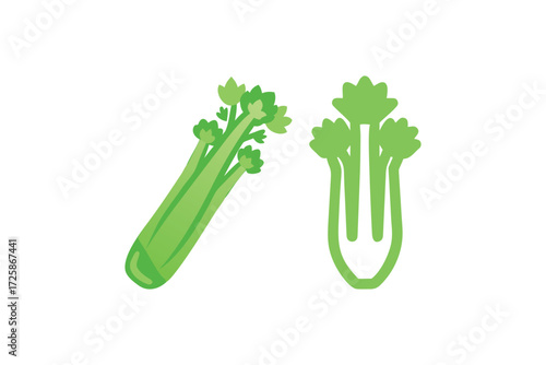 Two vibrant green celery stalks one whole and one cut in half isolated on a clean white background