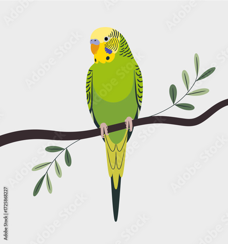 parrot on a branch