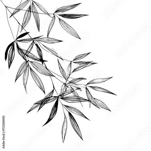 Elegant bamboo leaves vector illustration for botanical design nature inspired art and minimalist decor idea