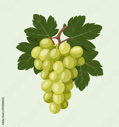 bunch of grapes