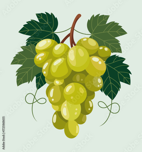 bunch of grapes