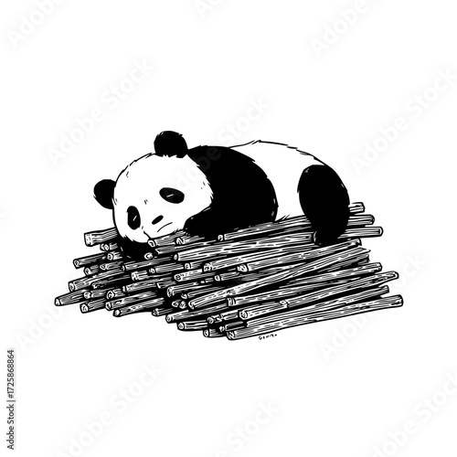 Cute panda bear sleeping on bamboo sticks illustration black and white drawing wildlife animal conservation art