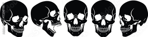 A collection of five black silhouette skulls displayed from different angles against a white background.