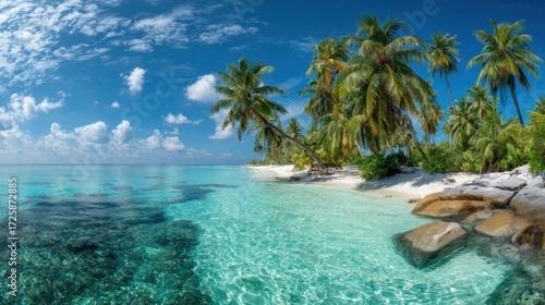 A serene beach scene showcases clear turquoise waters and vibrant palm trees under a bright blue sky. Rocks line the shore adding to the natural beauty of this tropical escape.