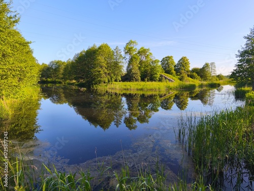 Peaceful summer morning by a calm river surrounded by lush green trees and reeds, perfectly mirrored in the crystal-clear water under a vivid blue sky.