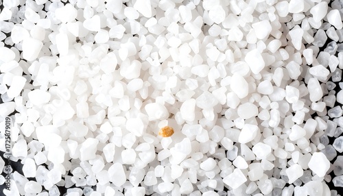 Wallpaper Mural A single, small, light-orange object amidst a large quantity of white granular material Torontodigital.ca