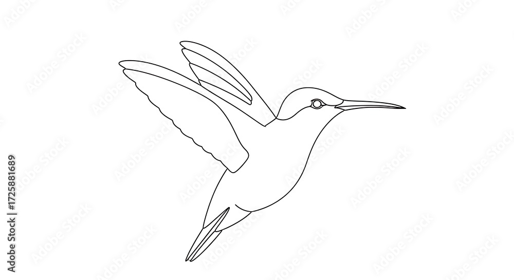 Fototapeta premium Title: Simple Hummingbird Outline 