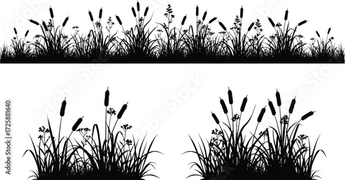 Cattail and reeds silhouette. Set of black cattail, wild grass, and reed silhouettes, isolated on white background, vector illustration