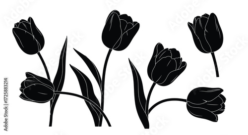 Silhouettes of tulips in various poses and orientations on a white background.