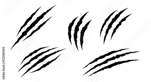 Set of seven black animal claw marks on a white background.
