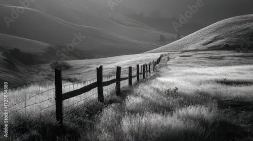 Serene hills with a fence line curving through tall grass in grayscale landscape