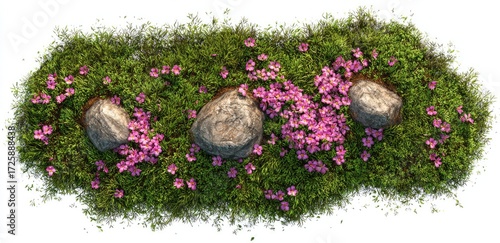 Floral border with three stones.  Top view of a garden bed with small pink flowers and green moss, interspersed with three gray stones