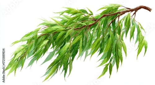 A vibrant green branch with delicate leaves