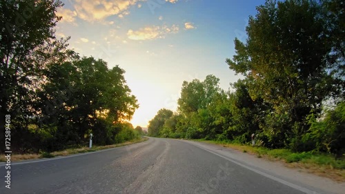 Countryside, gleaming sun, trees by the local road, POV car drive