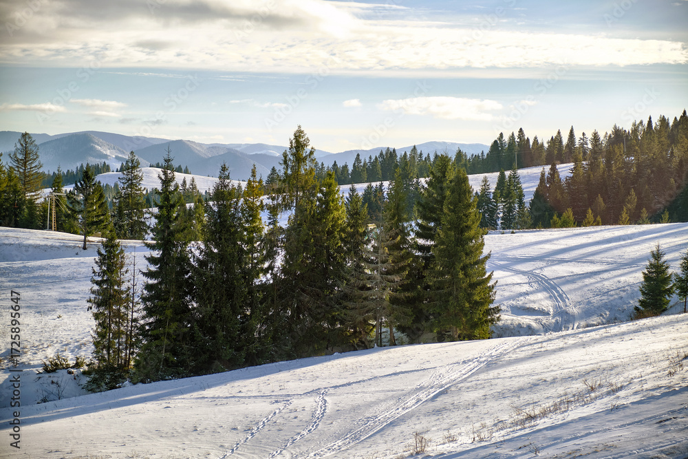 Fototapeta premium winter in Ukrainian Carpathian mountains