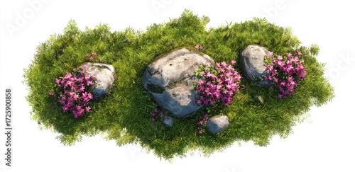 Elevated view of a cluster of rocks and pink flowers nestled in a bed of grass