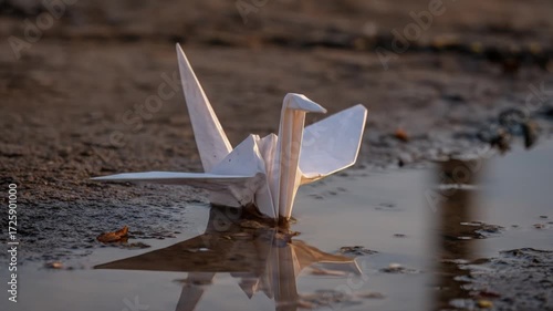 Paper crane in puddle