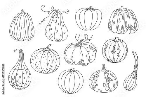 Pumpkins set outline simple hand drawn vector illustration, doodle vegetable for seasonal autumn, fall holidays celebration design, healthy vegetarian diet ingredient, Thanksgiving, Halloween clipart