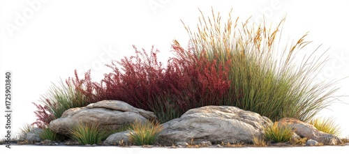 A cluster of grasses and shrubs atop rocks