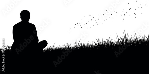 Silhouette man sitting on grassy hill watching birds fly in sky, peaceful nature scene with solitude, freedom, and contemplation mood