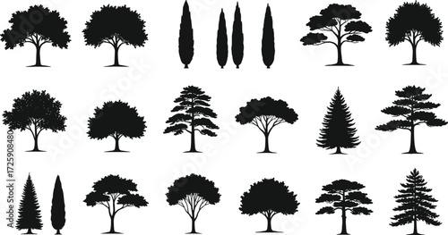 Set of various tree silhouettes. Black silhouettes of deciduous, coniferous, and cypress trees, isolated on a white background