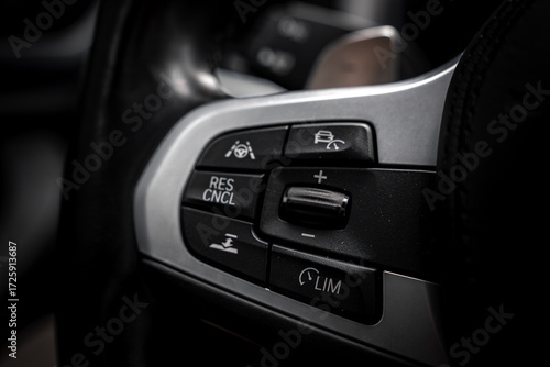 Quadro em tela Detailed view of BMW X4 steering wheel controls, featuring buttons for cruise control, speed limiter, and lane keeping assist with sleek black and metallic design
