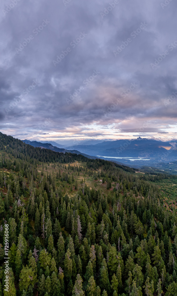 Obraz premium Aerial View Of Forested Mountains Overlooking A Valley And Lake In British Columbia