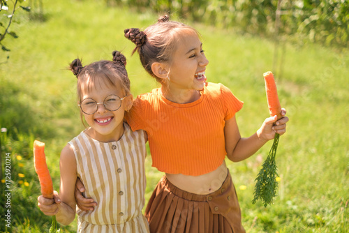 Funny laughing girls are hugging each other and eating carrots freshly picked in the vegetable garden