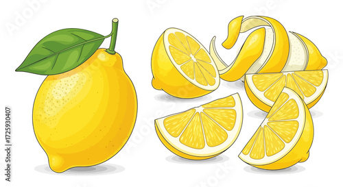Illustration of a whole lemon with leaf, a halved lemon, lemon wedges, and a lemon with its peel partially removed.