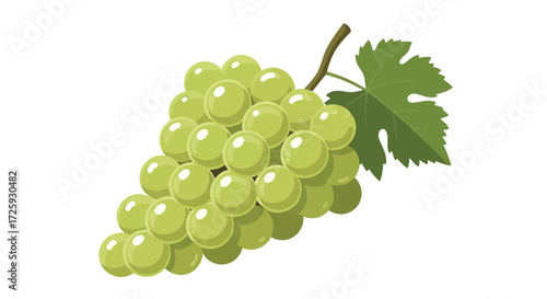 A vibrant illustration showcasing a cluster of green grapes with a single leaf, isolated on white.