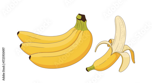 Illustration of a bunch of yellow bananas and a peeled banana on a white background.