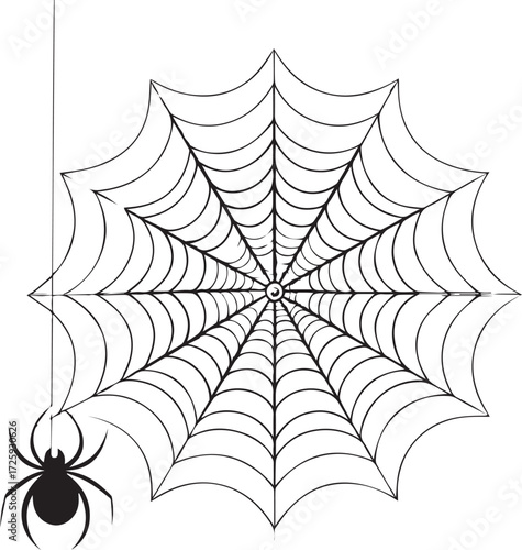 A black spider's cobweb pattern with dew drops is an illustration of a nature trap vector design.