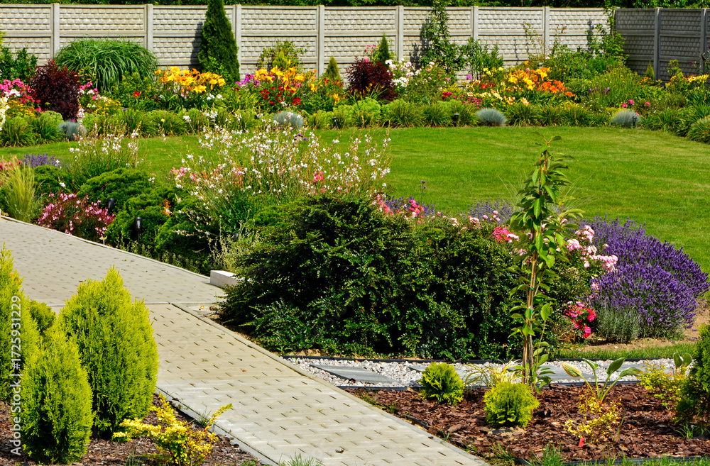 Obraz premium piękny ogród, zielony trawnik w ogrodzie otoczony krzewami ozodbnymi i kolorowymi kwiatami, chodnik w ogrodzie, kompozycja rabatowa, iglaki w ogrodzie, beautiful garden, designer garden, lawn 