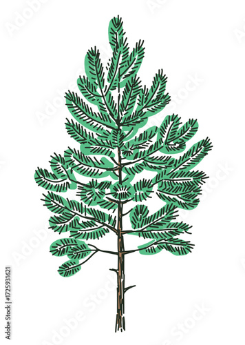 Outline single little fir tree, christmas symbol, vector hand drawn illustration isolated on white background