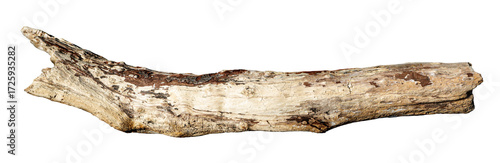 Fotografie Weathered driftwood log cutout on transparent background