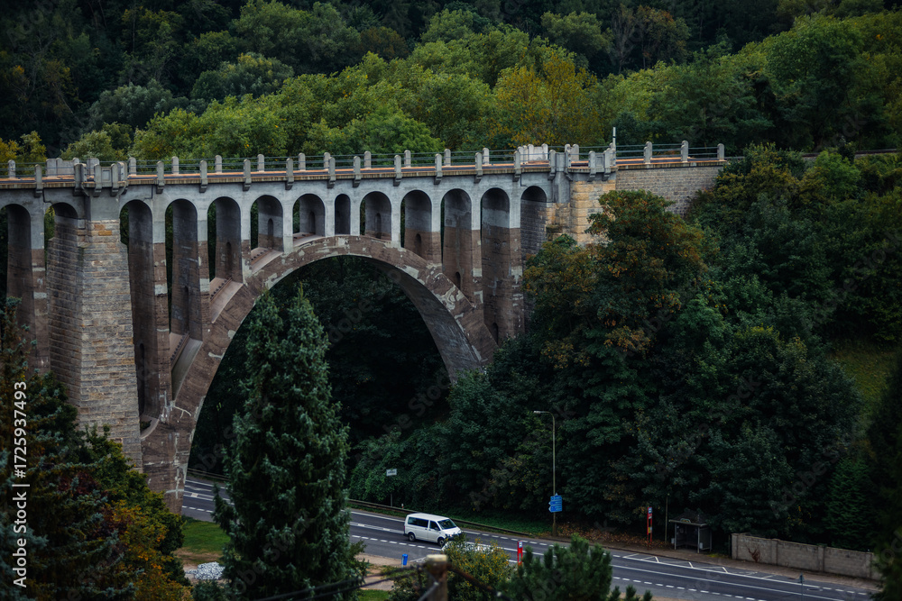 Fototapeta premium A picturesque view of a historical-style arched bridge. A white van travels on the road below, framed by tall conifers and a dense canopy of deciduous trees under a muted grey sky.