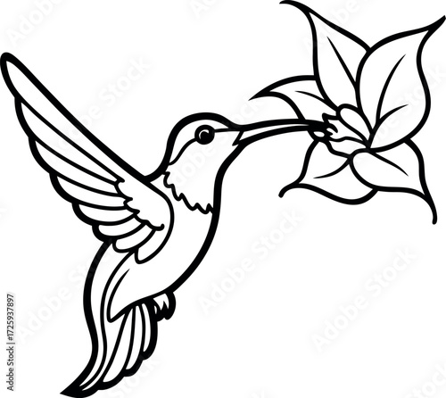 hummingbird sipping from glowing flower illustration on transparent background