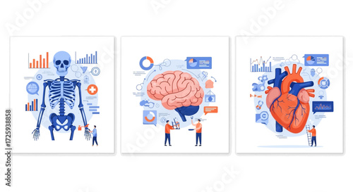 Visualizing Human Anatomy With Detailed Scientific Illustrations Exploring Skeletal Systems Brain Function And Cardiovascular Health Through Data Analysis And Microscopic Research Concepts