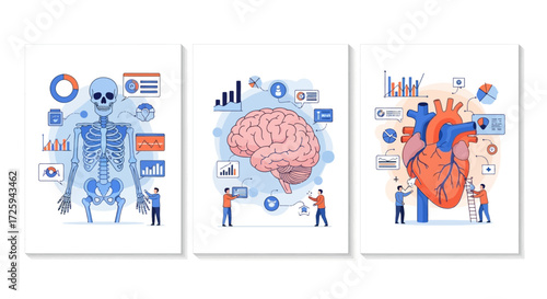 Exploring the Intricacies of the Human Skeletal System Brain and Cardiovascular Organs Through Scientific Diagrams and Data Visualization
