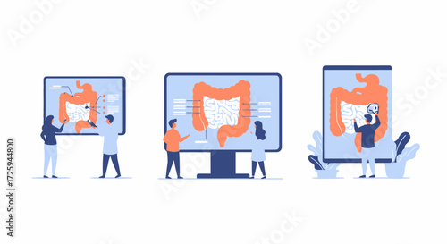 Understanding The Human Digestive System And Intestinal Health Through Medical Visualizations And Expert Analysis