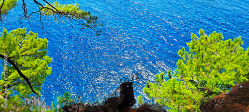 Bright green pine branches extend over a deep blue sea, contrasting vivid foliage with rippling water, creating a serene coastal seascape in natural light.