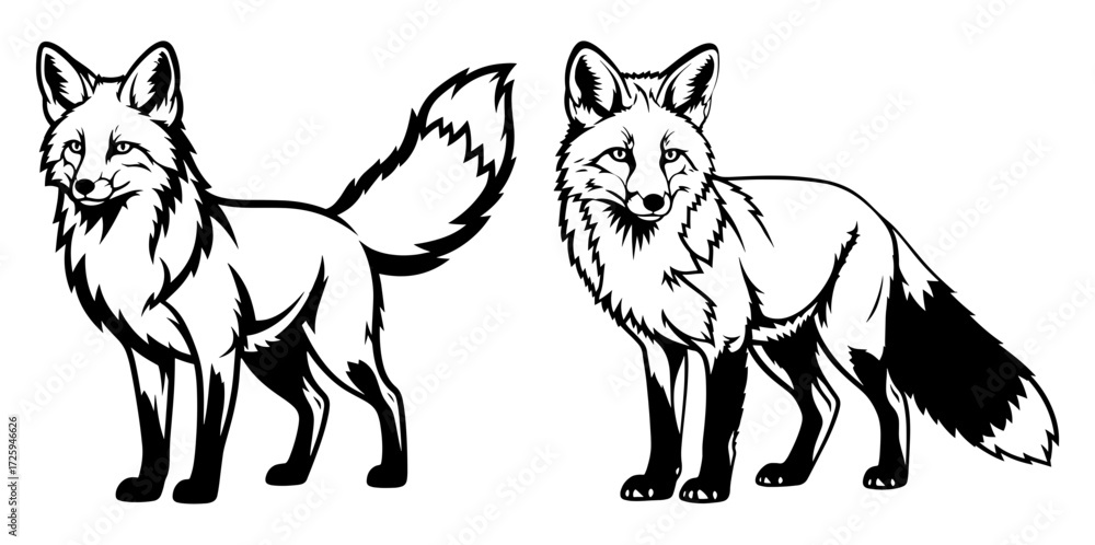 Fototapeta premium Vector art of two elegant fox illustrations, showcasing detailed line work in a vector format