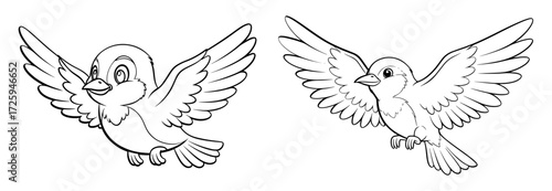Vector art of two cartoon birds flying with their wings spread, coloring page for kids