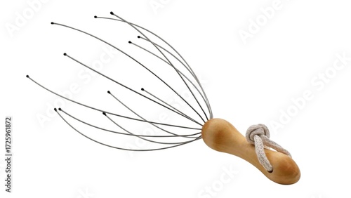 Tableau sur toile Photo of a manual handle head massager with flexible stainless steel wire scalp scratcher, isolated on white background