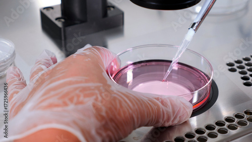 Canvastavla Close-up of IVF procedure